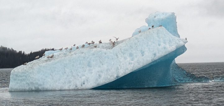 Berg outside of Tracy Arm anchorage