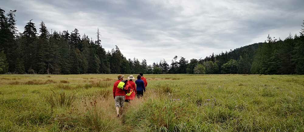 Walking through the cleared pasture