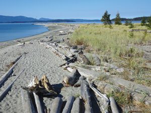 Hiking Sidney Spit